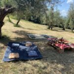 Matera: Pic-Nic under the Centuries-Old Olive Trees - Final Thoughts