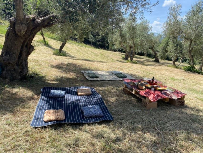 Matera: Pic-Nic under the Centuries-Old Olive Trees - Final Thoughts