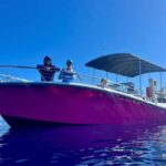 Maui and Lanai: Snorkel and Dolphin Adventure Tour - The Value of This Tour