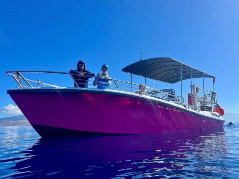 Maui and Lanai: Snorkel and Dolphin Adventure Tour - The Value of This Tour