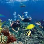 Maui: Deluxe Molokini Snorkel with Breakfast & Lunch - Pricing and Value