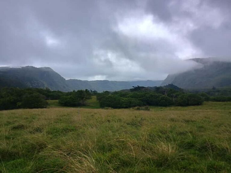 Maui: East Side Hiking Tour - Final Thoughts