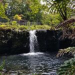 Maui: Halfway to Hana Black Sand Beach & Turtles Tour - What to consider before booking