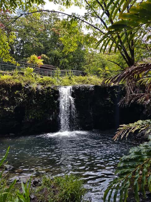 Maui: Halfway to Hana Black Sand Beach & Turtles Tour - What to consider before booking