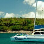 Maui: Kaanapali Beach 4-hour Snorkel w/ BBQ Lunch & Open Bar - What the Reviews Tell Us