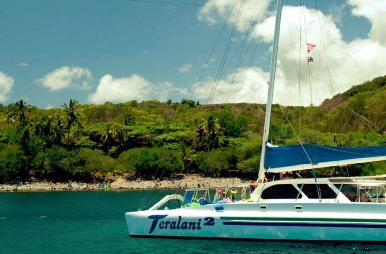 Maui: Kaanapali Beach 4-hour Snorkel w/ BBQ Lunch & Open Bar - What the Reviews Tell Us