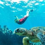 Maui: Kaanapali Beach 5-hr Snorkel w/ BBQ Lunch & Open Bar - The Itinerary and Experience