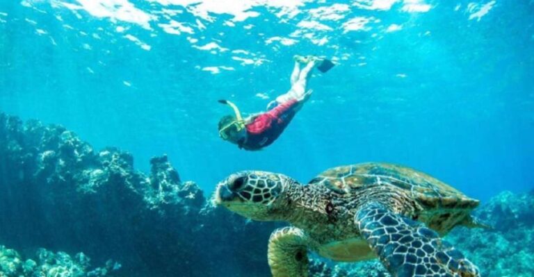Maui: Kaanapali Beach 5-hr Snorkel w/ BBQ Lunch & Open Bar - The Itinerary and Experience