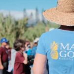 Maui: Pineapple Planting Experience - The Itinerary: What to Expect