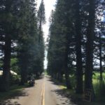 Maui : Private : Road to Hana Day Trip : Just For Your Group - What’s Included and What to Bring