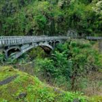 Maui: Road to Hana Sightseeing Tour - Who Is This Tour Best For?