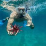 Maui: Snorkel with Turtles and Picnic Tour - Why This Tour Stands Out