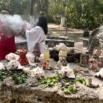 Mayan experience with temazcal and fresh local food - Transportation and Group Size