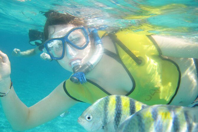 Mayan Flavors & Tequila Tasting + Beach Time - Who Should Consider This Tour?