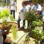 Mayan Roots Camino Real "Pomuch, Hecelchakán and Calkiní Becal" - Authenticity and Cultural Insights