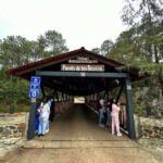 Mazamitla tour from Guadalajara visiting Mundo Aventura - The Practicalities: Transport, Cost, and Group Size