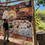 Mazatlan Day Tour: La Noria village and Los Osuna Distillery - The Sum Up
