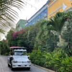 Mazatlan Pulmonia Experience - Who Should Consider This Tour?