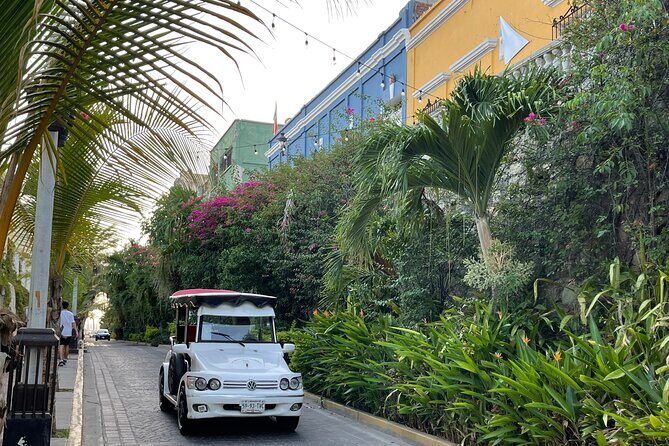 Mazatlan Pulmonia Experience - Who Should Consider This Tour?