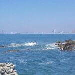 Mazatlan Shore Excursion: City Tour Highlights & Delights - Market Experience and Local Flavor