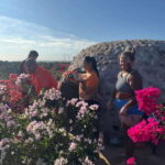 Mazatlan: Temazcal Experience with Lunch and Transportation - Analyzing the Value and Overall Experience