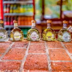 Mazatlán: Tequila Factory & Country Sightseeing - Transport & Group Size