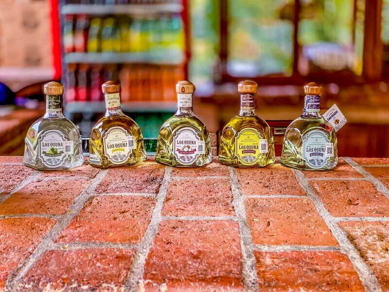 Mazatlán: Tequila Factory & Country Sightseeing - Transport & Group Size
