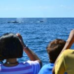 Mazatlán: Whale-Watching Boat Tour with Marine Experts - Breakdown of the Itinerary