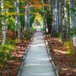 MDI Private Discovery Tour - Explore Beyond Acadia (five hours) - What the Reviews Reveal