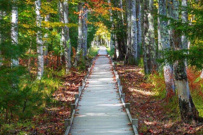 MDI Private Discovery Tour - Explore Beyond Acadia (five hours) - What the Reviews Reveal
