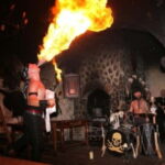 Medieval Show & Dinner, Castle & Brewery tour, Hotel pickup - The Experience You’ll Love