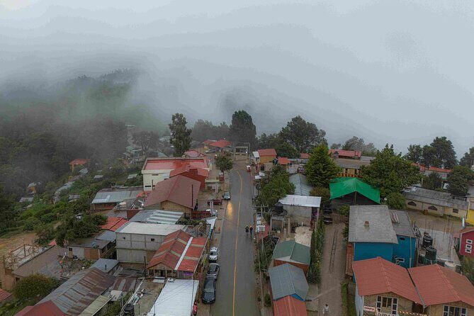 Meet San Jose del Pacífico in one day - Transport and Timing