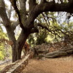 Melanes Tour: Village Highlights & Garden-to-Table Meal - Practical Details & What to Expect