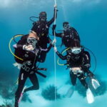 Mellieha: Introductory Diving Session in the Open Sea - What to Expect from Your Maltese Open Sea Introductory Dive