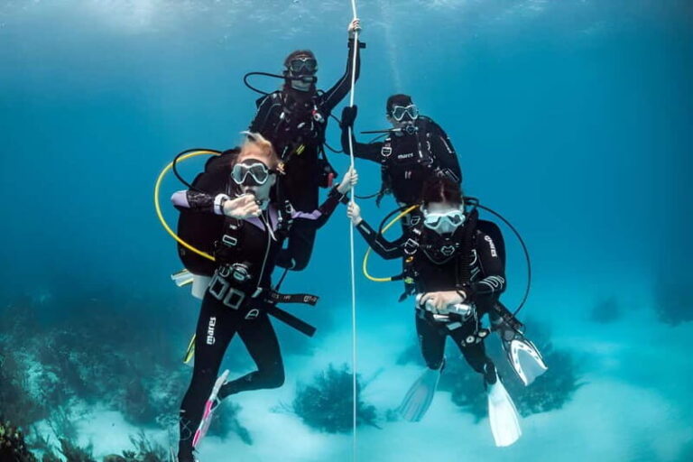Mellieha: Introductory Diving Session in the Open Sea - What to Expect from Your Maltese Open Sea Introductory Dive