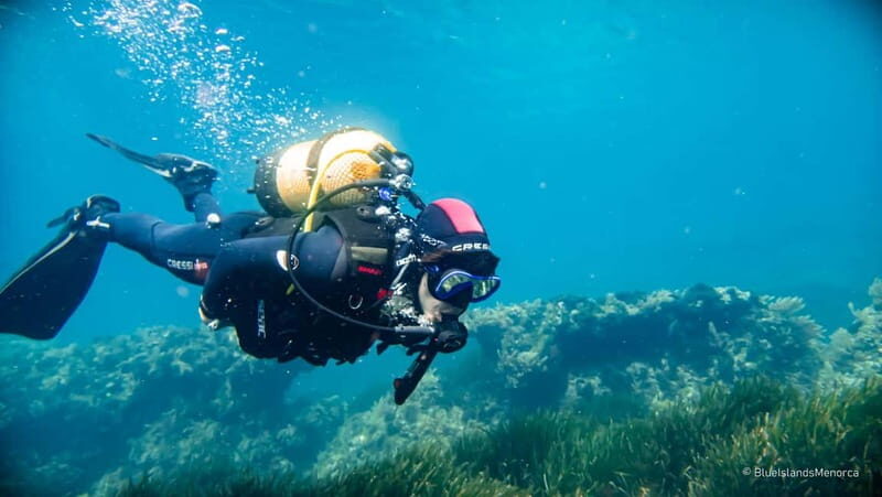 Menorca: Cala Galdana Try Scuba Diving for Beginners - Small Group Dynamics: Personalized Attention