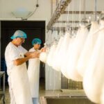 Menorca: Guided visit to the Subaida cheese factory, - Exploring the Menorca Cheese Farm Tour in Detail