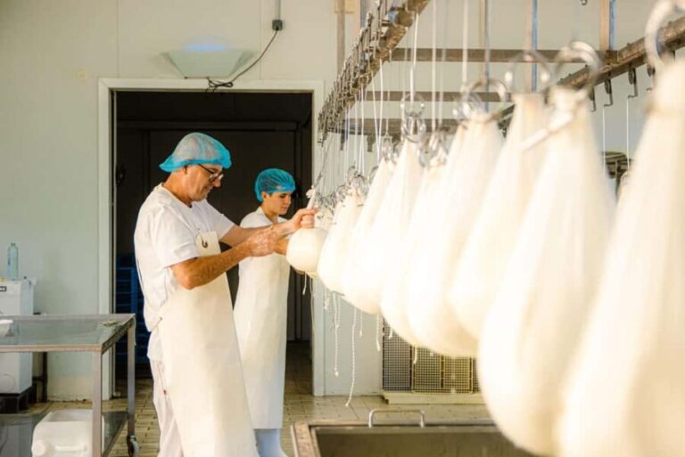 Menorca: Guided visit to the Subaida cheese factory, - Exploring the Menorca Cheese Farm Tour in Detail