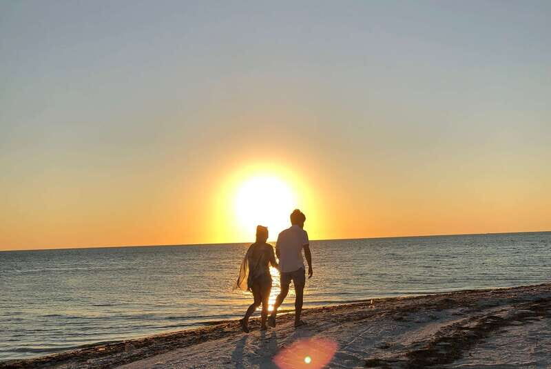 Mérida: Port of Progreso & Xcambo Mayan Ruins Tour - What Makes This Tour Stand Out