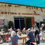 Mesopotam Monastery, Winery & Lekursi Castle Tour - The Sum Up