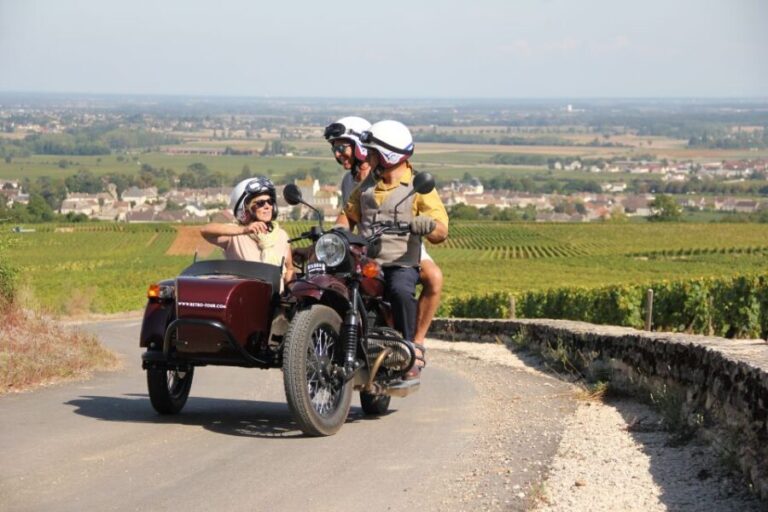 Meursault: Tour of the Vineyards on Motorbike with Sidecar - Why This Tour Offers Great Value