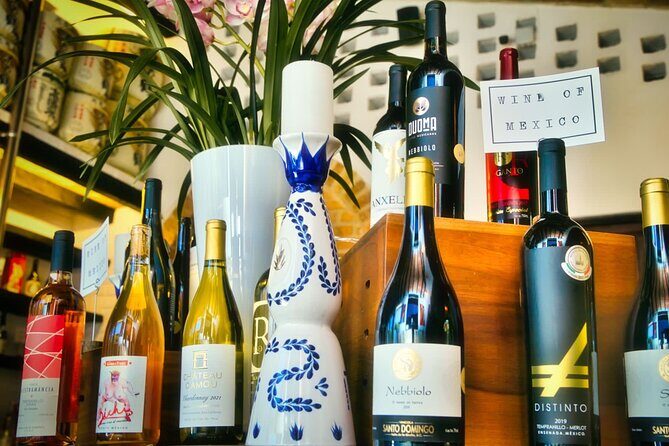 Mexican Wine Tasting Experience - Who Should Book This Tour?