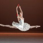 Mexico Authentic Folk Ballet Xochimilco and Coyoacán - Practical Details and Considerations