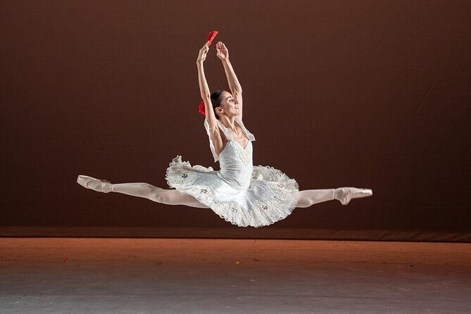 Mexico Authentic Folk Ballet Xochimilco and Coyoacán - Practical Details and Considerations