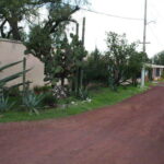 Mexico City: Basilica and Teotihuacan Pyramids Tour - Exploring the Itinerary in Detail