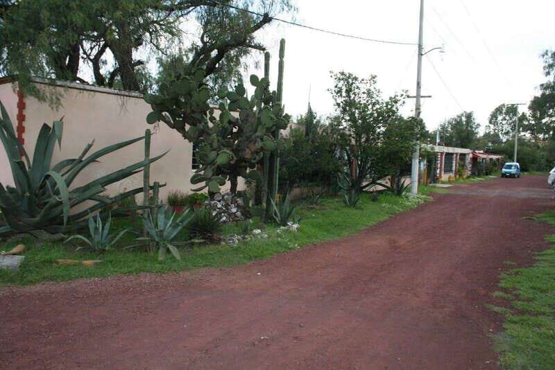 Mexico City: Basilica and Teotihuacan Pyramids Tour - Exploring the Itinerary in Detail