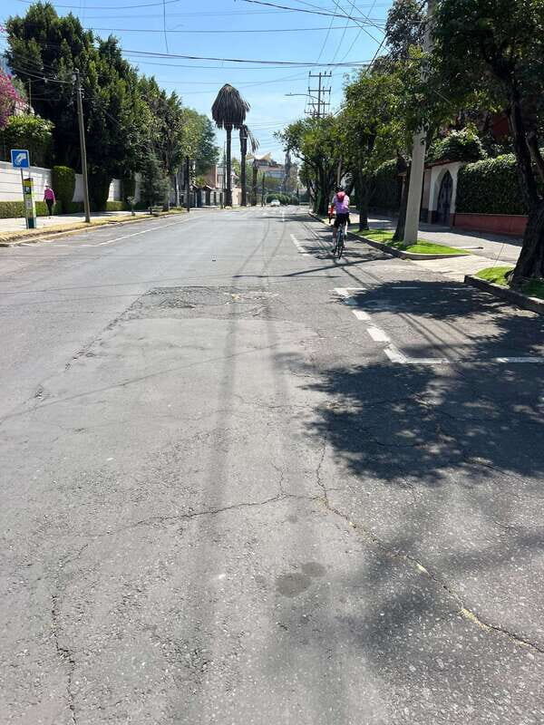 Mexico City: Bike, Cannabis, Nature, Food, Culture and History. - Why This Tour Works Well for Travelers