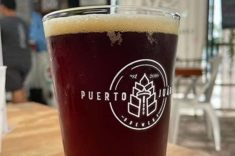 Mexico City: Craft Beer Tour Through La Roma - Final Thoughts: Who Should Consider This Tour?