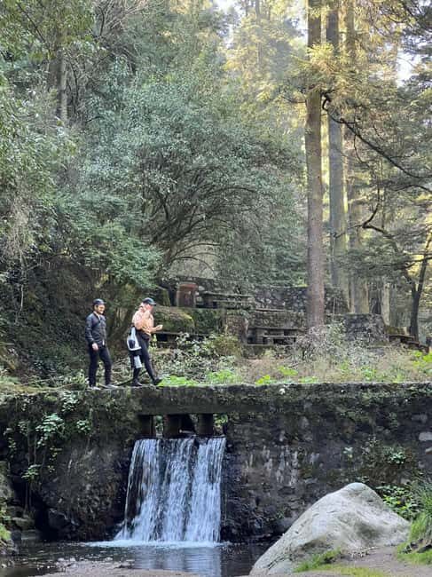 Mexico City: Desierto de los Leones Hike & Ex-Convent Tour - Tasting Pulque and Local Flavors