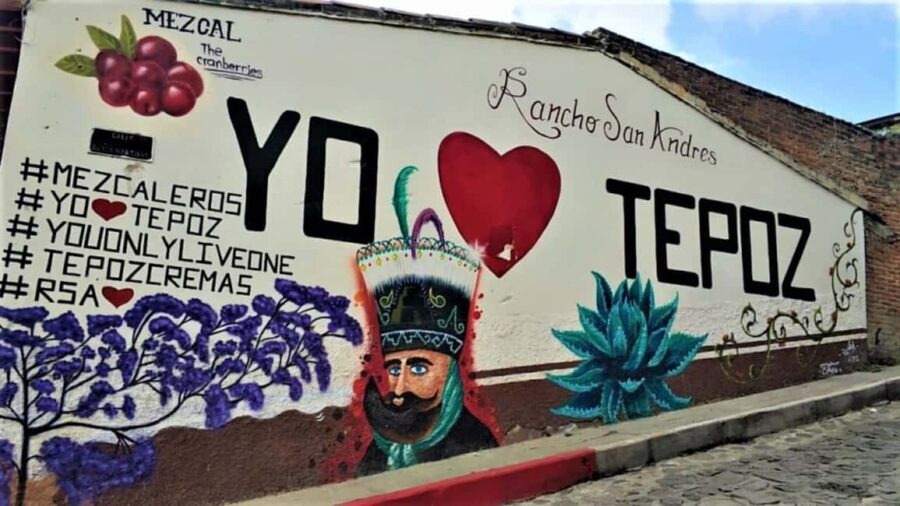 Mexico City: Explore Mexican Gardens and Tepoztlan Town - What’s Included and What to Consider